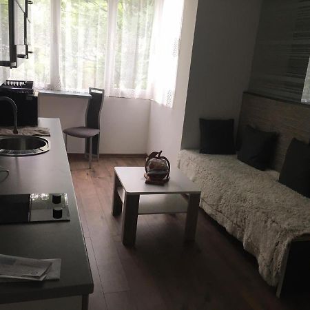 Apartment In The Center Of The Old City, Budzak 14 سراييفو المظهر الخارجي الصورة