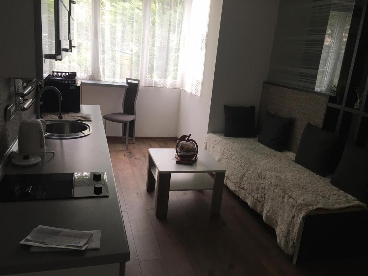 Apartment In The Center Of The Old City, Budzak 14 سراييفو المظهر الخارجي الصورة